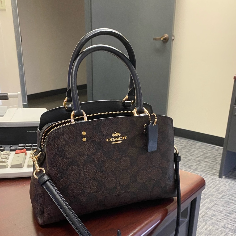 Mini Lillie Carryall Signature Canvas